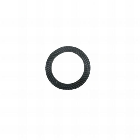 100 Rondelles élastiques Type Schnorr mm - Diamètre 16 mm mm