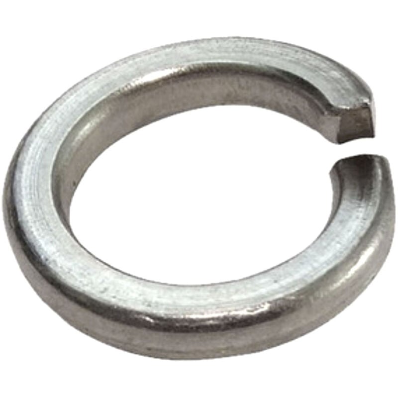 Rotofor - 100 Rondelles Grower DIN127B A2 D14