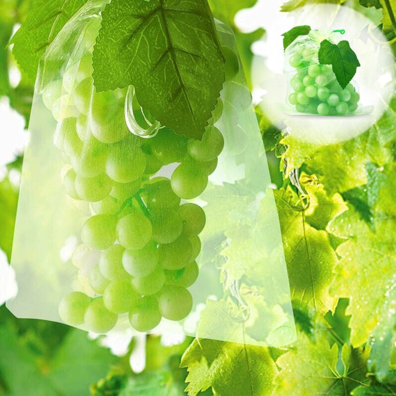 100 Sac Protection Fruits Sacs Filets Protection des Grappes de Raisins Contre Les Oiseaux et Insectes Guêpes Frelons 30 x 20 cm