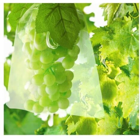 100 Sacs de Protection Fruits en Filet pour Grappes de Raisins, Contre Oiseaux, Insectes, Guêpes et Frelons, 30 x 20 cm