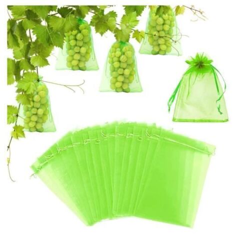 100 Sacs de Protection pour Fruits, Filets de Protection pour Grappes de Raisins Contre Oiseaux et Insectes (Guêpes), 30 x 20 cm