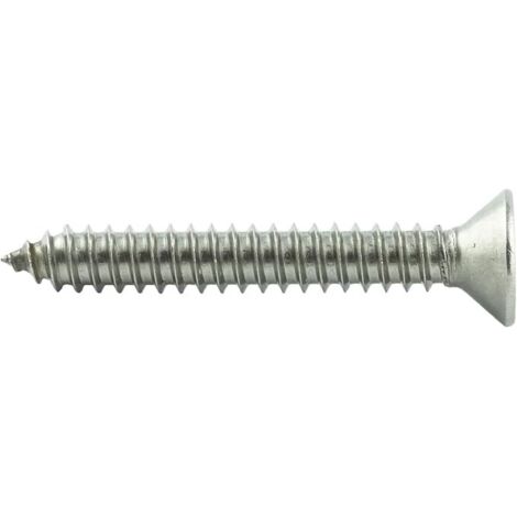 100 Stück 4X10 mm Edelstahl - Spanplattenschrauben Torx - Vollgewinde - Holzbauschrauben mit Senkkopf - Edelstahlschrauben
