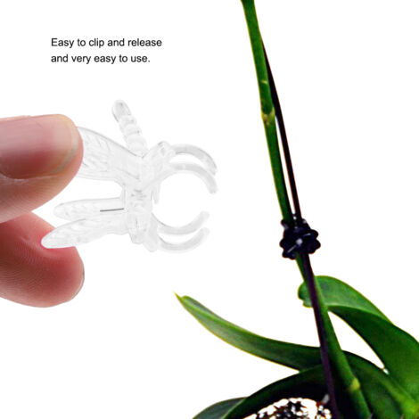 100 Stück Blumenstielclips, transparente Pflanzenstütze für Orchideen und Miniaturstielchen – Gartenbefestigungsset