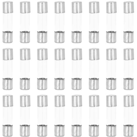 100 Stück Glassicherungen 5x20mm 250V 6A für schnellen Schutz elektrischer Stromkreise