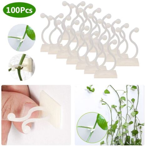 100 Stück Kletterpflanzenbinder, Klebeclips für Gartenpflanzen, Wandbefestigung
