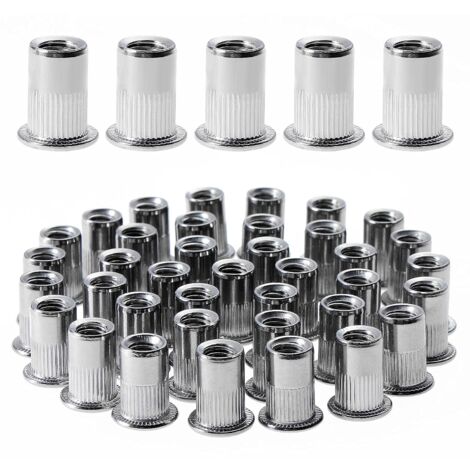 100 Stück M6 Flachkopf-Nietmuttern mit Gewinde, Edelstahl-Nietmuttern mit Gewinde, Gewindeeinsätze für Kunststoff-Gewinde (12 mm x 15 mm)