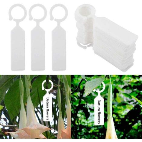 100 Stück Pflanzenmarkierungsetiketten, Kunststoff, wasserdicht, für Pflanzen, Bäume, Garten, dicke Hängeetiketten aus Kunststoff, Blumenpflanzenetiketten (weiß)