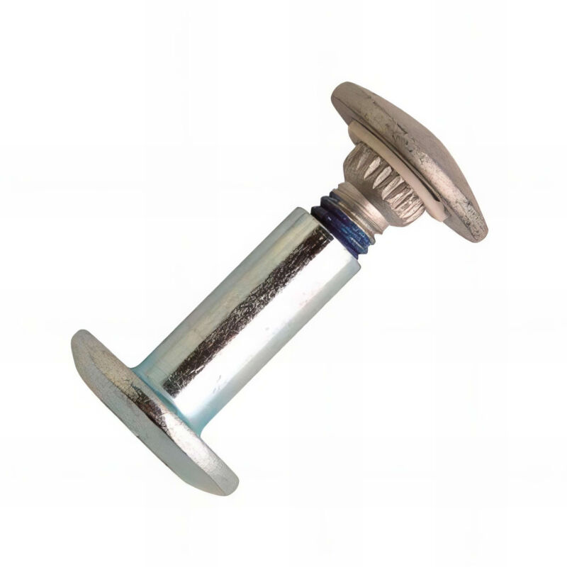 100 tiges de boulons de structure Torktainer, acier tel, d. 10 x 25.4 mm - TT3B-BC Scell-it