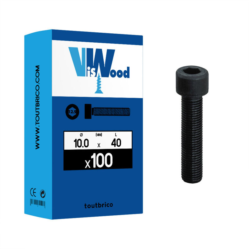 Viswood - 100 vis 6 pans creux 10 x 40mm chc 12.9 brut
