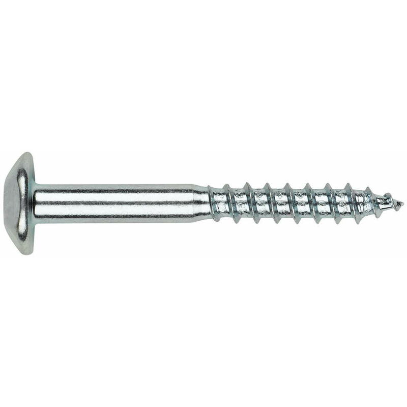 Boite de 100 - Vis inviolable - Empreinte Torx- Zinguée 7 x 60 mm