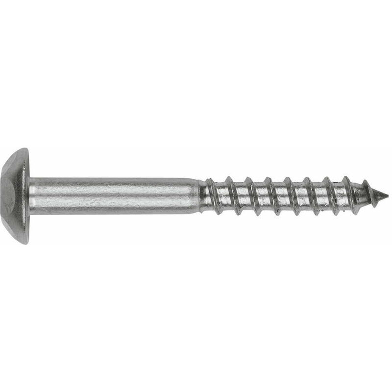 Index - Boite de 100 - Vis inviolable - Empreinte Torx - Inoxydable A2 7 x 80