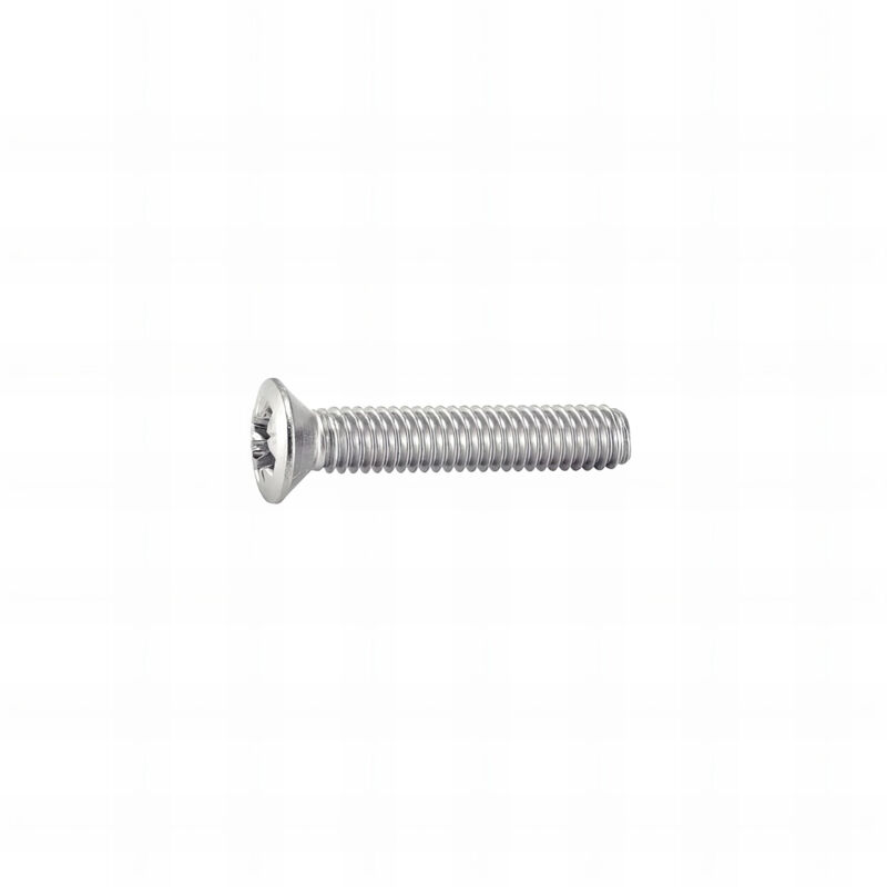 Rotofor - 100 vis métaux tête fraisée bombée pozidriv DIN966 A2 5.0 x 35