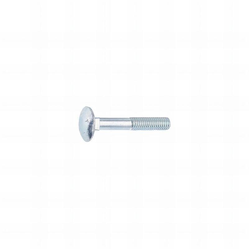 Rotofor - 100 Vis tête ronde collet carré Zinguee - diamètre 8 mm - Longueur 40 mm
