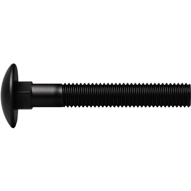 Rotofor - 100 Vis tête ronde collet carré zingués Noir - longueur 70 mm - 6