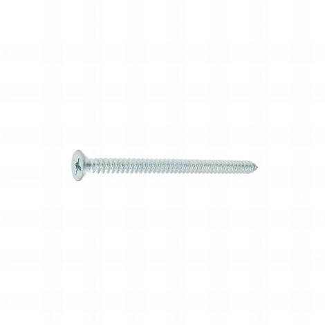 100 Vis tôle tête fraisée pozidriv acier zingués blanc DIN7982 Diamètre 4,8 mm - Longueur 100 mm - Diamètre 4.8 mm