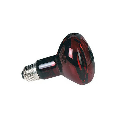 100 W Zoo med lampe spot infrarouge reptile - Zoo Med