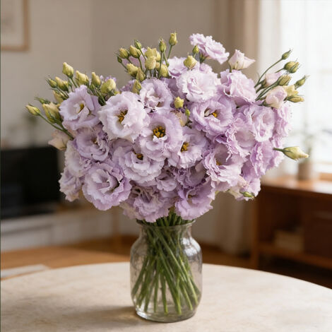 1000 Lavender Lisianthus Seeds – Soft Romantic Eustoma, Long-Lasting Blooms for Garden and Pots