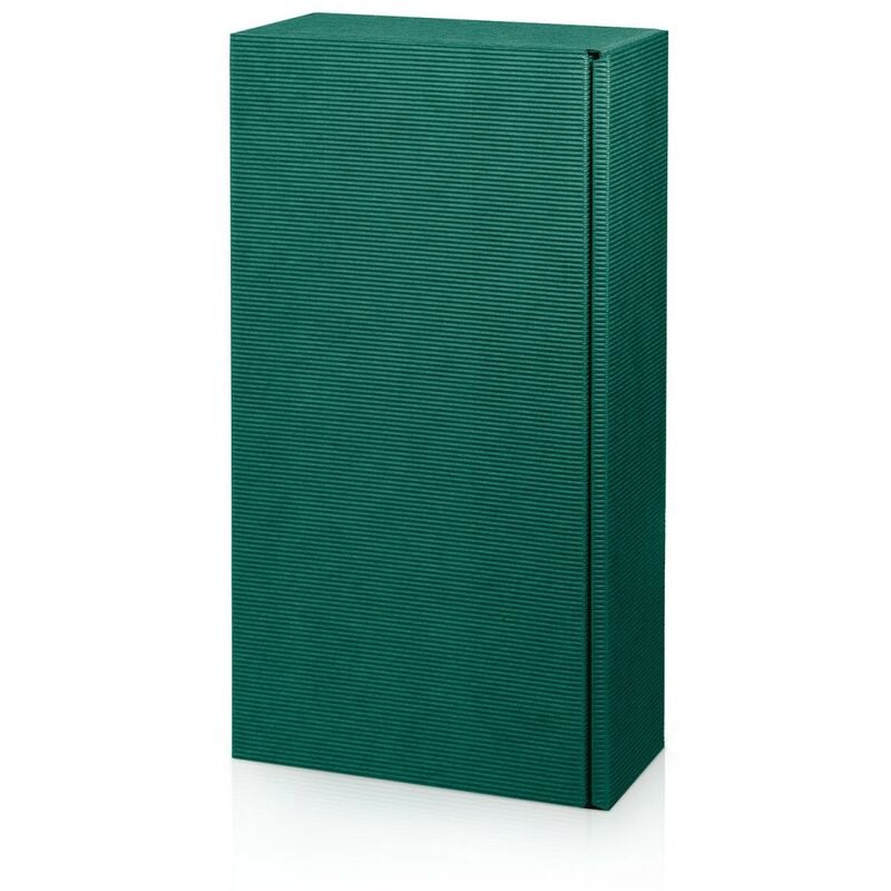 1000 x Präsentkarton für 2 Flaschen 360x180x90 mm offene Welle Grün – Grün | 04058592801037 1000 x Präsentkarton für 2 Flaschen 360x180x90 mm offene Welle Grün – Grün | 04058592801037