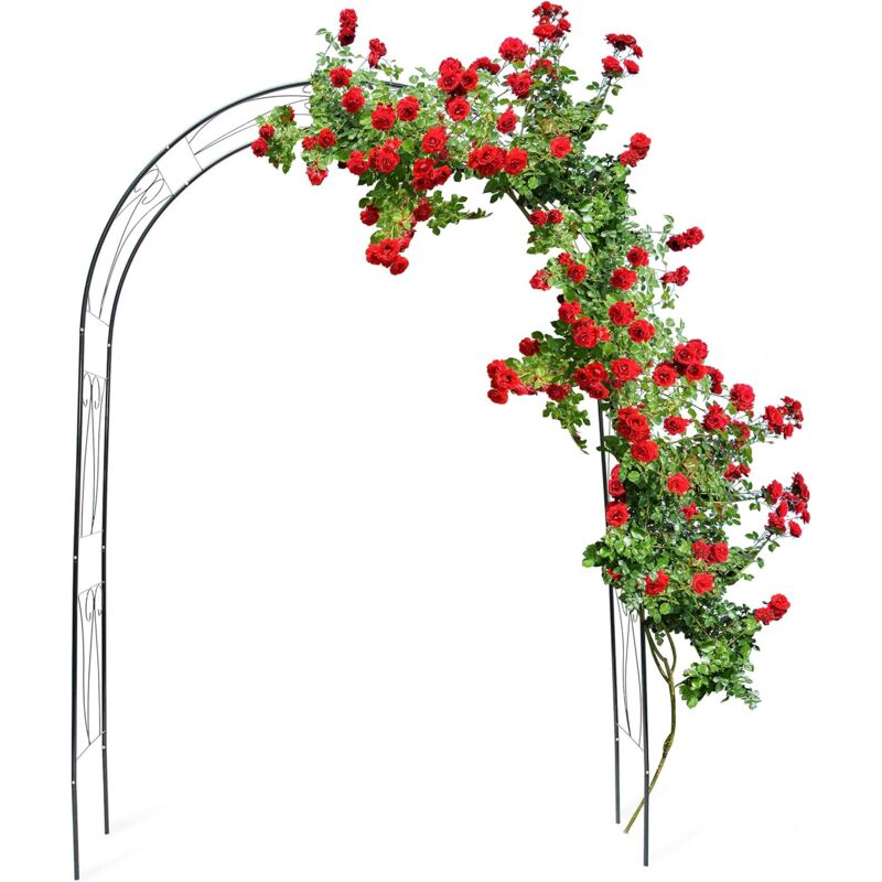 Choyclit - 10018869 Arche à Rosiers tuteur roses arche de jardin arceau rosiers Support Plantes Grimpantes 233 x 153 x 39 cm Vert 2,3 m