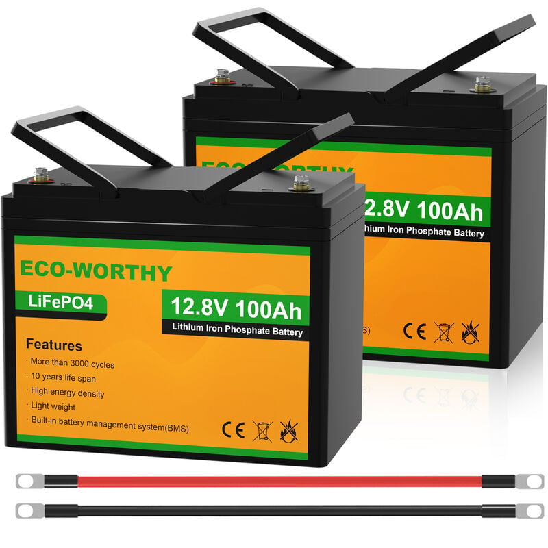 Eco-worthy - 2 x 100Ah 12V LiFePO4 Battery Rechargeable Lithium Iron Phosphate with 3000+ Deep Cycles and bms Protection, Perfect for rv, Boat,