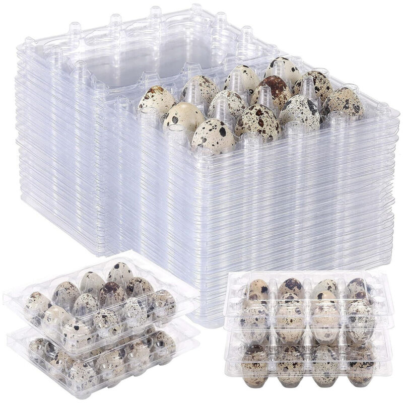 Fitags - 100pcs 12 Grilles boîte d'oeufs de caille Oeuf de Caille Cartons réutilisables Boite de Rangement des Oeufs Frigo Transparent Boîte De