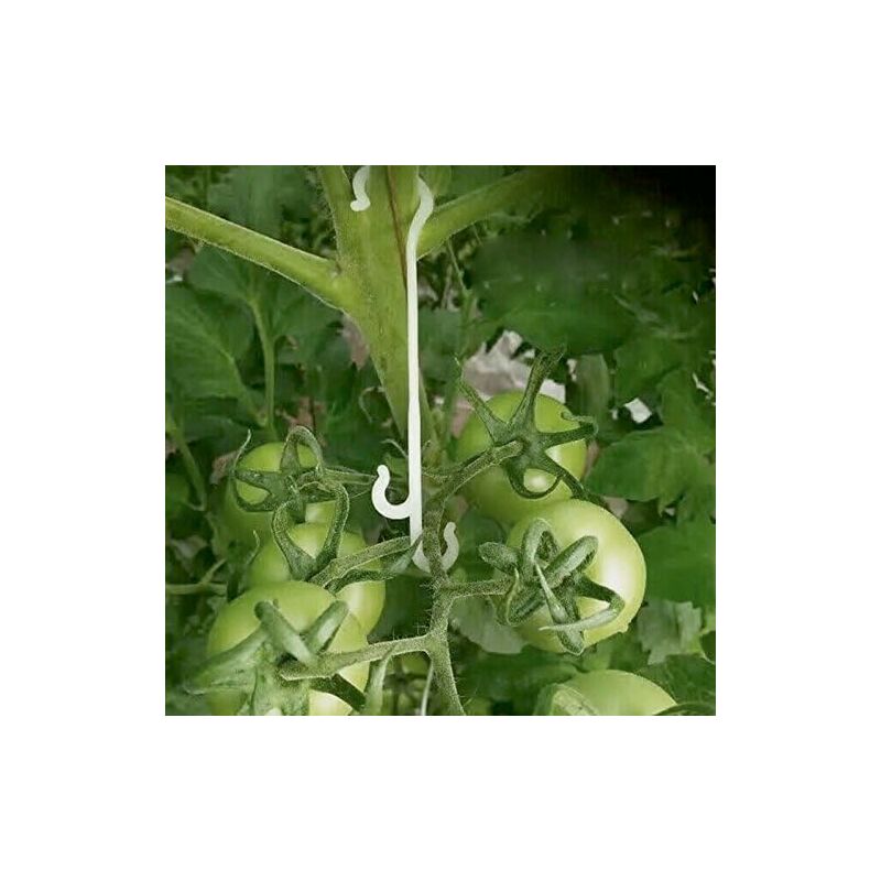 100pcs 13CM Clips de Plantes de Jardin, Clips de Support de Plantes Grimpantes, Clips de Tomate, Supports de Tomate - White