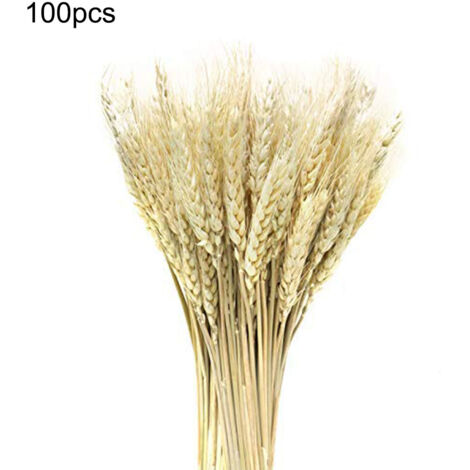 100PCS Artificial Wheat Dried Flowers Realistic Dried Wheat Sheaves for Christmas Evening Party Wedding