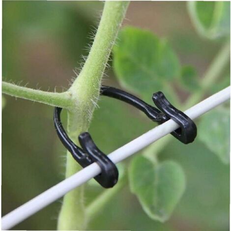 100pcs Jardin Plante Cible Boucle Fixe Lashing Crochet Pinces de greffe Outil agricole.
