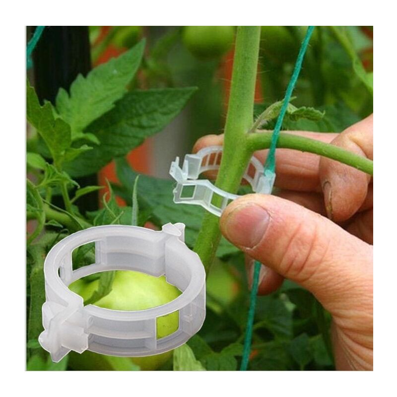100PCS Plant Support Clips de Jardin Tomate Clips Support/Connecte Plantes/Ficelle/Vignes Treillis/Cages Plante Vigne Légumes Fixation Clip Outils de