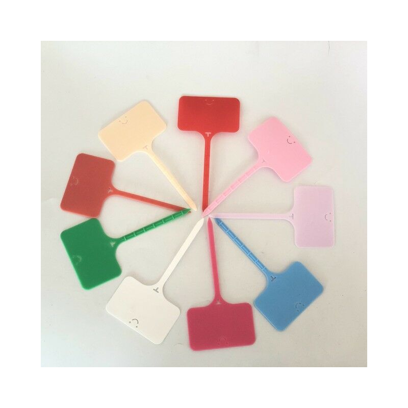 100PCS PP piante da fiore segno picchetti