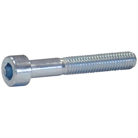 100PZ BULLONE TESTA CILINDRICA T.C.E.I. 12 x 60 mezzo filettato