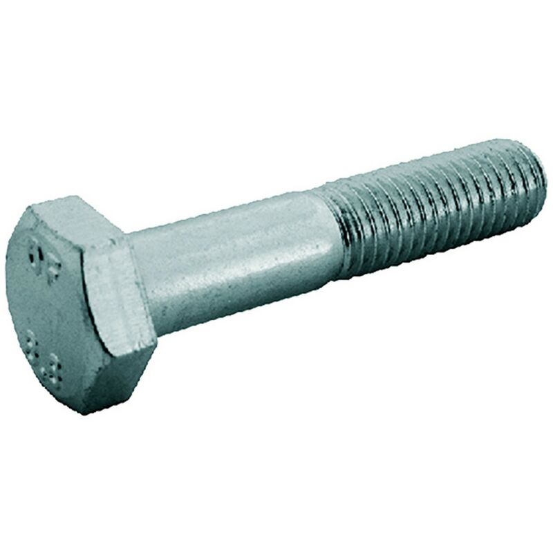 Fontana Luigi - 100PZ bullone testa esagonale 8.8