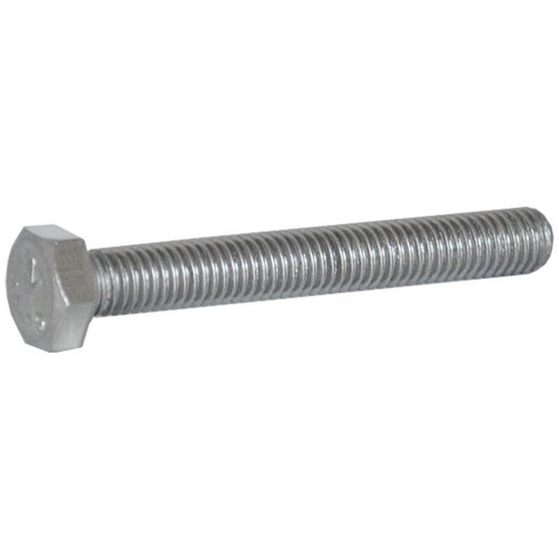 Spinelli Srl - 100PZ bullone testa esagonale inox