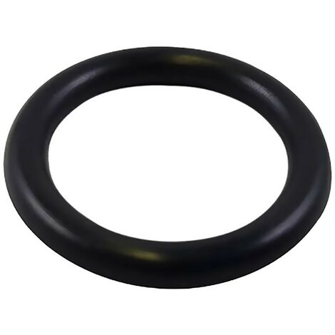100PZ GUARNIZIONE O-RING PER RACCORDERIA mm 23,00 x 3,60 (3/4)