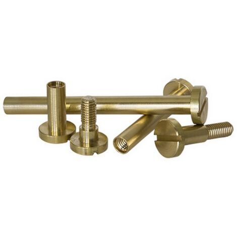 100PZ VITE A CANNOCCHIALE IN OTTONE Ø 6x40 mm.