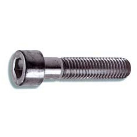 100PZ VITI METALLO 8.8 TESTA CILINDRICA CAVA ESAGONA PARZIALMENTE FILETTATE mm8x7