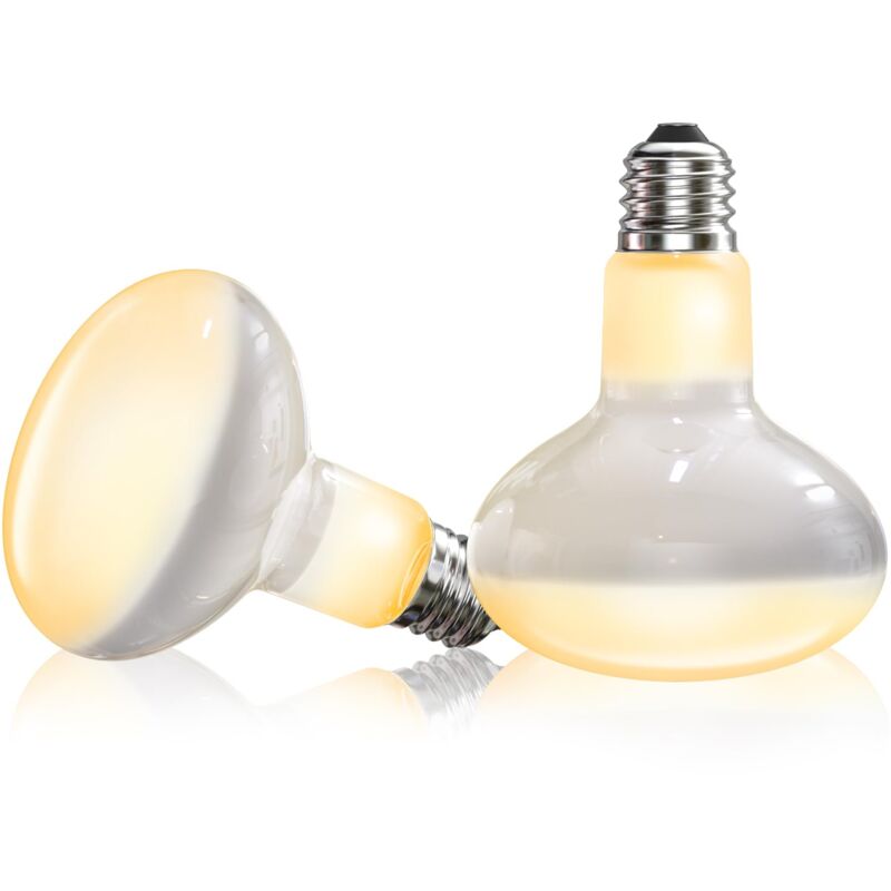 100W Lampe Chauffante Terrarium, E27 Ampoule Chauffante Poussin graduable, Convient aux poussins, tortues, lézards, serpents et autres reptiles et