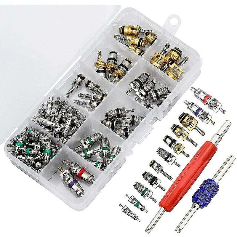 102pcs noyau de valve de climatiseur de voiture climatisation automobile tige de valve de pneu de réfrigération avec double tête double outil de
