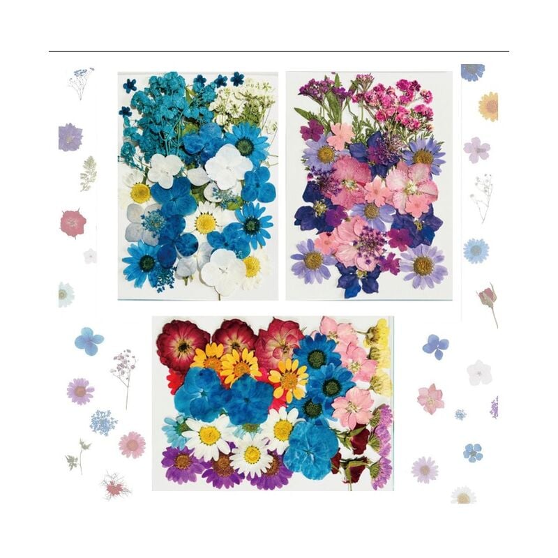 106 pièces Vraies Fleurs pressées séchées Fleurs séchées Naturelles Fleurs séchées à Ongles Multicolores pour résine, Scrapbooking, Bougie Bricolage,