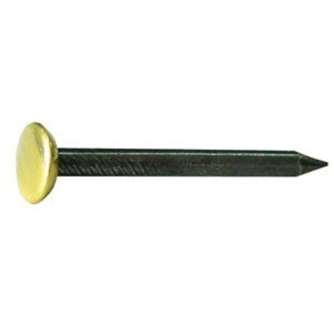 10CF CHIODO IN ACCIAIO CON TESTA IN OTTONE PZ.100  mm. 2x25