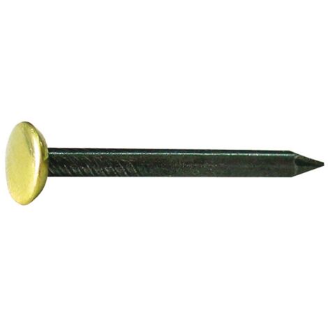 10CF CHIODO IN ACCIAIO CON TESTA IN OTTONE PZ.100  mm. 2x30