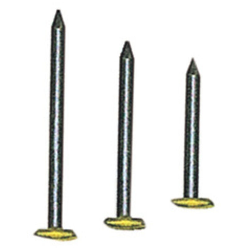 10CF sc chiodi testa ricoperta in ottone MM.2X20