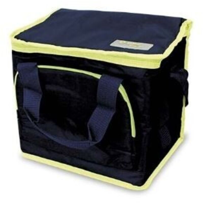 Image of 10l tragbarer Kühlschrankbeutel. GSC 2703155