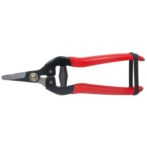 10PZ FORBICI COGLIUVA LAMA CURVA cm. 16