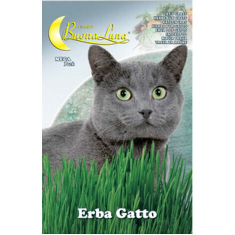 10PZ SEMI ORTO ERBA GATTO