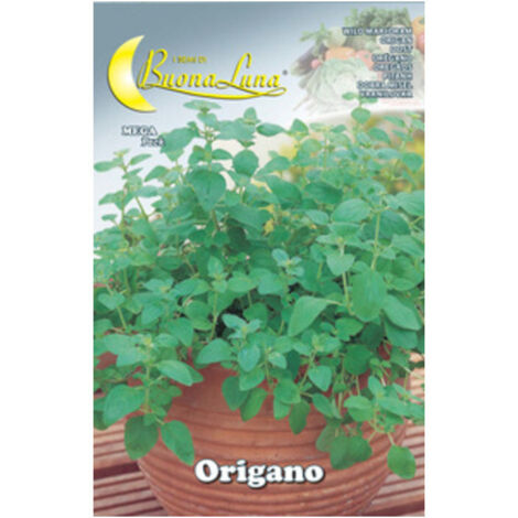 10PZ SEMI ORTO ORIGANO