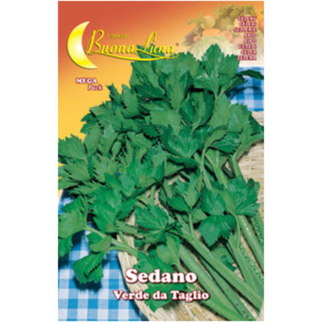 10PZ SEMI ORTO SEDANO VERDE DA TAGLIO