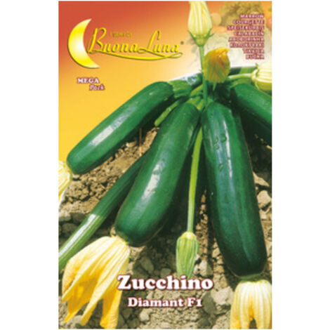 10PZ SEMI ORTO ZUCCHINO DIAMANT