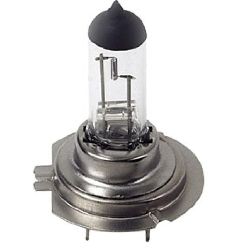 10x Ampoule H7 24V 70W px26d