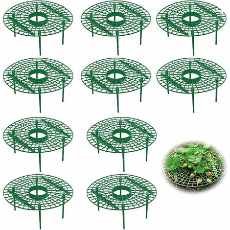 10x Fruit Ripening Set Strawberry Ripening Strawberry Holder Snail Protector Holder